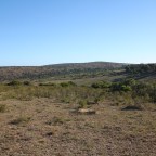Safari in South Africa