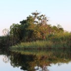 Nguma Island Lodge, Botswana